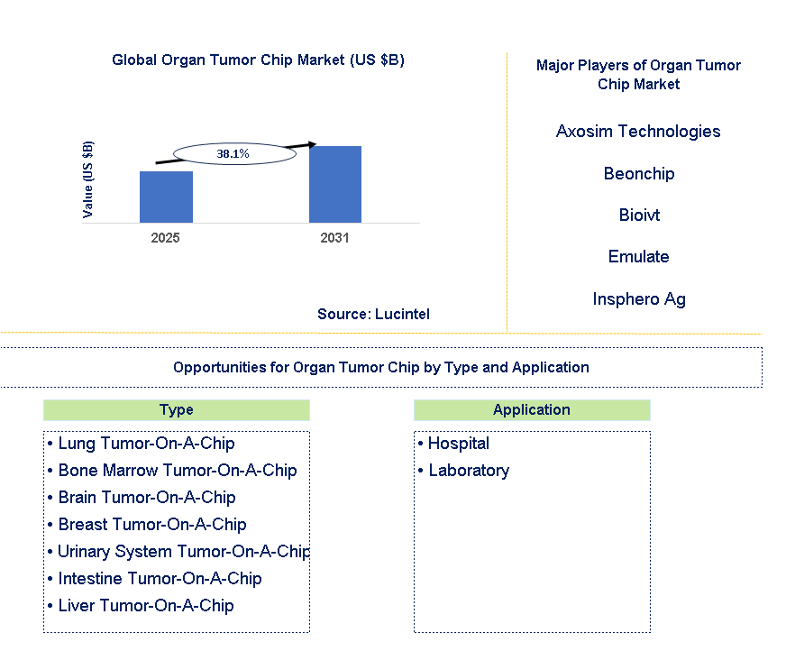 Organ Tumor Chip Market Trends and Forecast